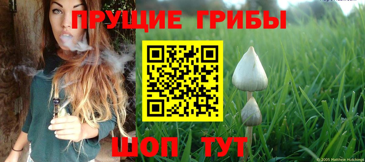 Галлюциногенные грибы MAGIC MUSHROOMS  Галлюциногенные грибы Psilocybine cubensis  Ухта  Вход с VPN 